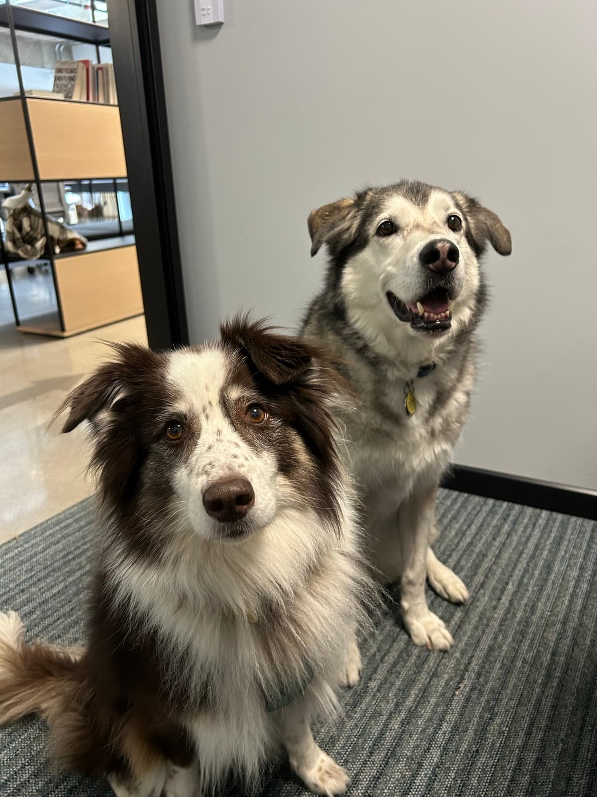 Oliver and Finn sitting side by side in an office, looking up at the camera